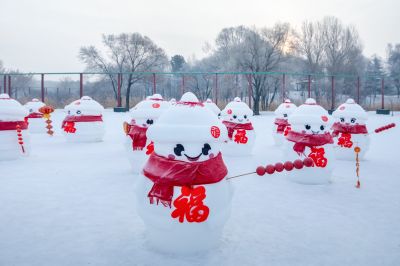 冬日太阳岛雪博会（1月份照片）