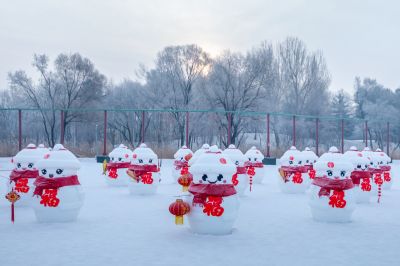 冬日太阳岛雪博会（1月份照片）