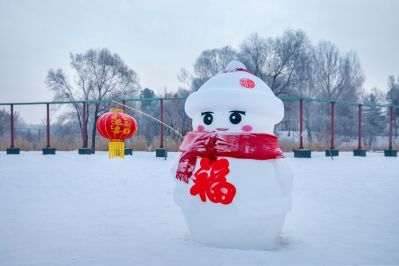 冬日太阳岛雪博会（1月份照片）