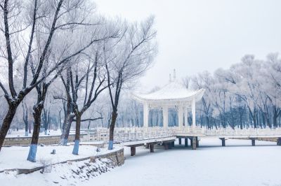 冬日太阳岛雪博会（1月份照片）