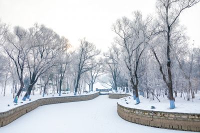 冬日太阳岛雪博会（1月份照片）