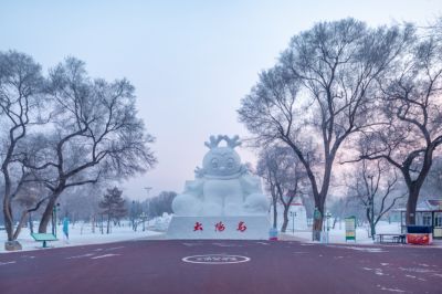 冬日太阳岛（1月份照片）