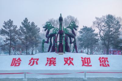 冬日太阳岛（1月份照片）