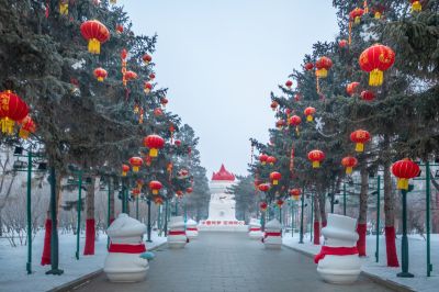 冬日太阳岛（1月份照片）