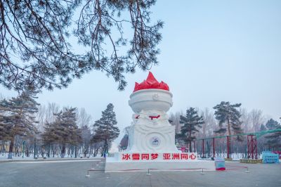 冬日太阳岛（1月份照片）