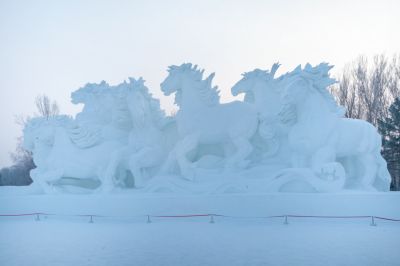 冬日太阳岛（1月份照片）