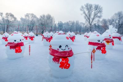 冬日太阳岛（1月份照片）