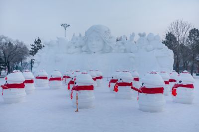 冬日太阳岛（1月份照片）