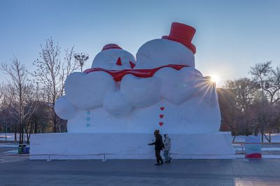 冬日太阳岛（1月份照片）