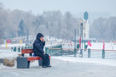 雪中的黛秀湖公园 （1月份照片）