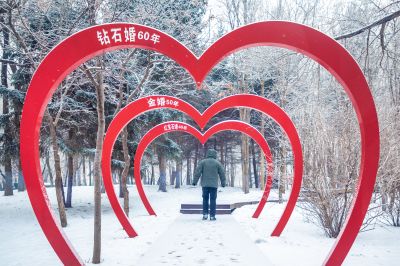 雪中的黛秀湖公园 （1月份照片）