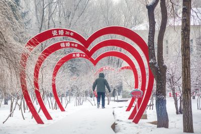 雪中的黛秀湖公园 （1月份照片）