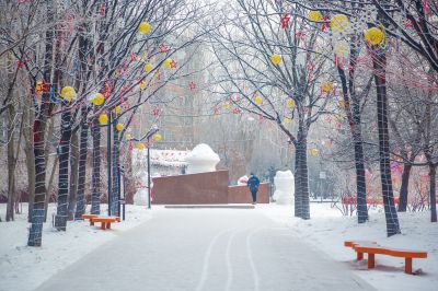 雪中的黛秀湖公园 （1月份照片）