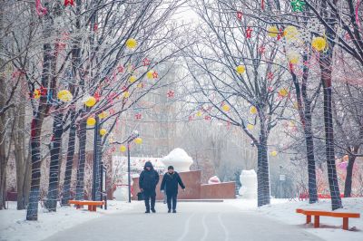 雪中的黛秀湖公园 （1月份照片）