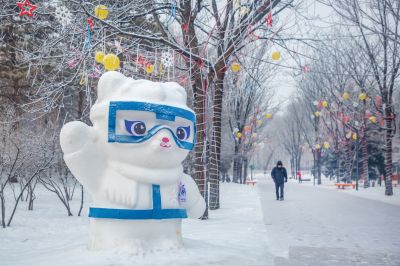 雪中的黛秀湖公园 （1月份照片）