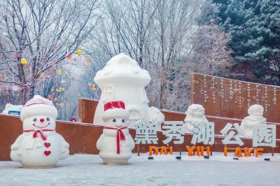 雪中的黛秀湖公园 （1月份照片）
