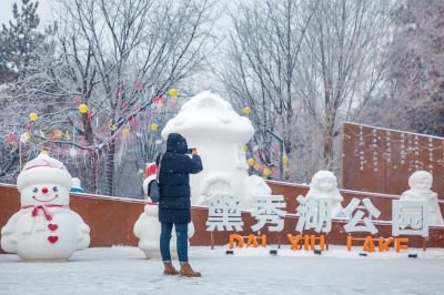雪中的黛秀湖公园 （1月份照片）