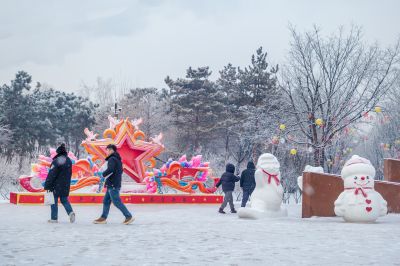 雪中的黛秀湖公园 （1月份照片）