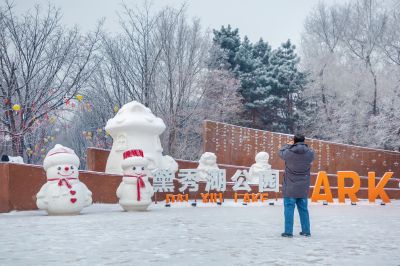雪中的黛秀湖公园 （1月份照片）