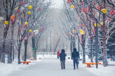 雪中的黛秀湖公园 （1月份照片）
