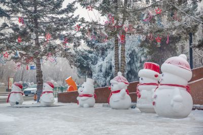 雪中的黛秀湖公园 （1月份照片）