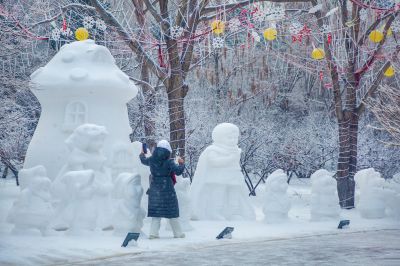 雪中的黛秀湖公园 （1月份照片）