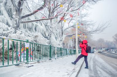 雪中的黛秀湖公园 （1月份照片）