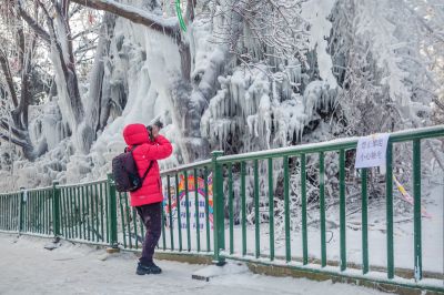 雪中的黛秀湖公园 （1月份照片）