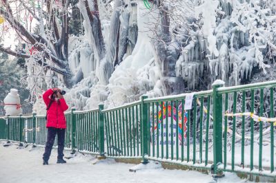 雪中的黛秀湖公园 （1月份照片）