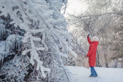 雪中的黛秀湖公园 （1月份照片）