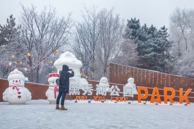 雪中的黛秀湖公园 （1月份照片）