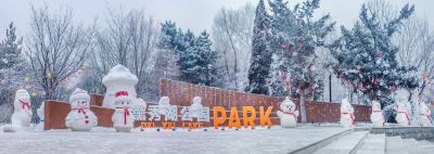 雪中的黛秀湖公园 （1月份照片）
