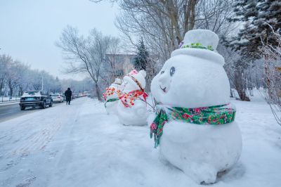 雪中的黛秀湖公园 （1月份照片）