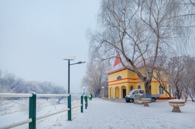 雪中的黛秀湖公园 （1月份照片）