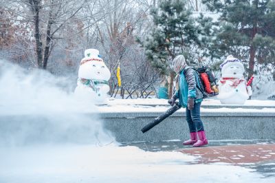 雪中的黛秀湖公园 （1月份照片）