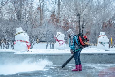 雪中的黛秀湖公园 （1月份照片）