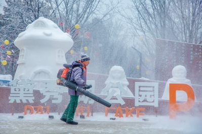 雪中的黛秀湖公园 （1月份照片）