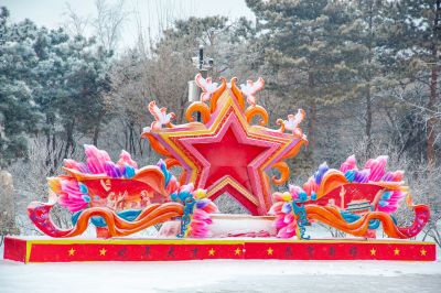 雪中的黛秀湖公园 （1月份照片）