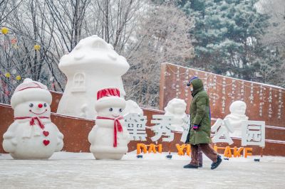 雪中的黛秀湖公园 （1月份照片）