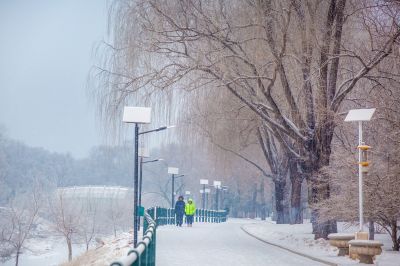 雪中的黛秀湖公园 （1月份照片）
