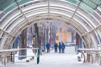 雪中的黛秀湖公园 （1月份照片）