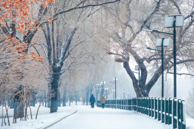 雪中的黛秀湖公园 （1月份照片）