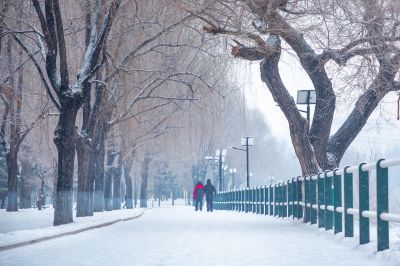 雪中的黛秀湖公园 （1月份照片）