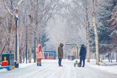 雪中的黛秀湖公园 （1月份照片）