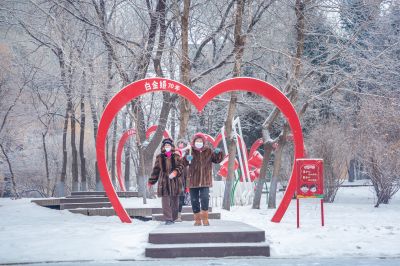 雪中的黛秀湖公园 （1月份照片）