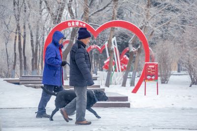 雪中的黛秀湖公园 （1月份照片）