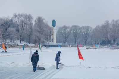 雪中的黛秀湖公园 （1月份照片）