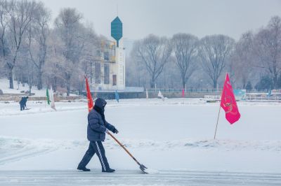 雪中的黛秀湖公园 （1月份照片）
