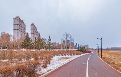 群力外滩湿地残冰