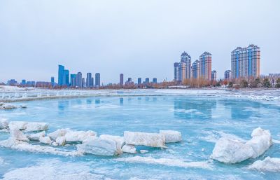 群力外滩湿地残冰